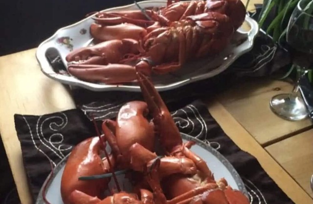 The old henhouse, heritage of New-Richmond