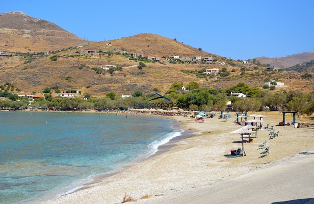 The "Olive Tree" stone house 50 meters from the beach of Otzia.
