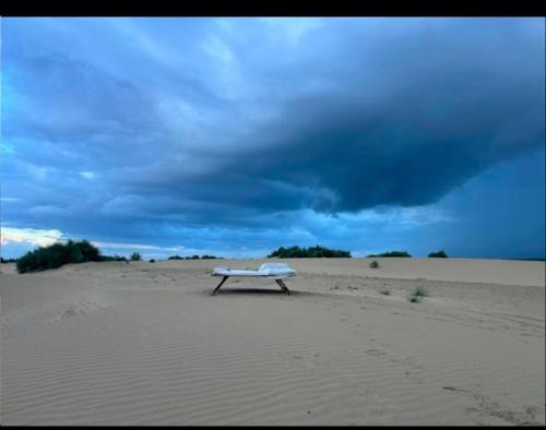 The pallan desert Safari