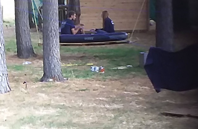 The pines 4 x private chalets