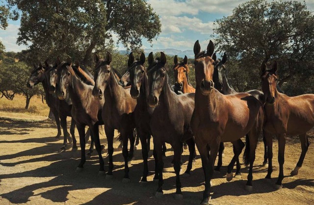 The place where to have fun and relax with family and friends among nature & sun