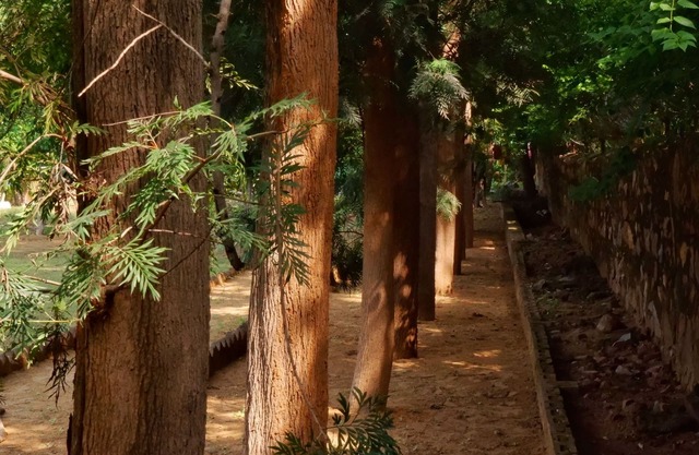 The Raghav - Villa/Farmhouse Getaway amidst Nature