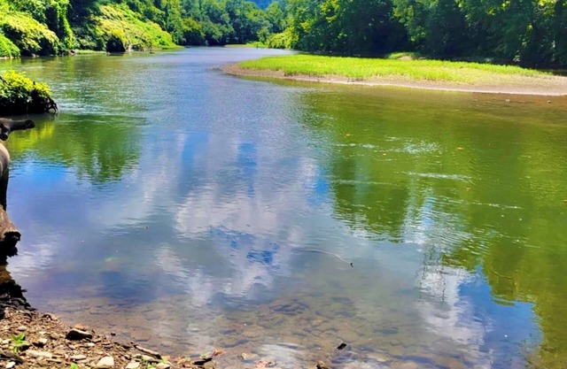 The Riverbend Retreat, Matewan WV! Riverfront Views -Adventure Awaits!