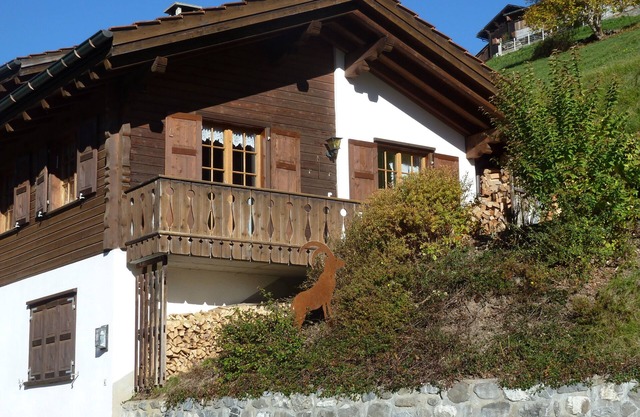 The rustic holiday home on the sunny slope