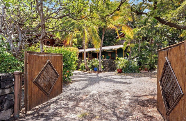 The Salty Jungle Kona