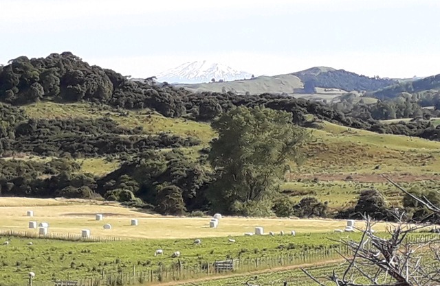 The sheep's retreat farmstay