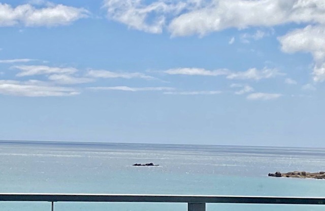 ☀️THE SUMMER HOUSE☀️