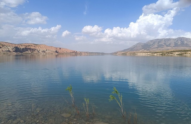 The Terrance principle Asturias 15