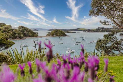 The Waterfront Studio Opito Bay