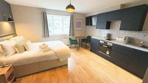 The Willow - Studio 20