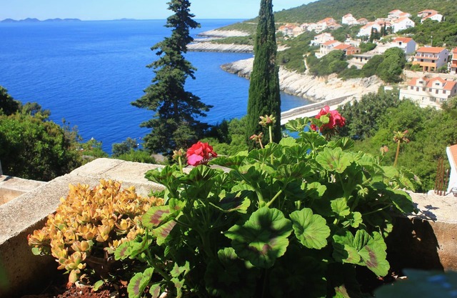 Three bedroom apartment with terrace and sea view Zavalatica, Korčula (A-9690-b)