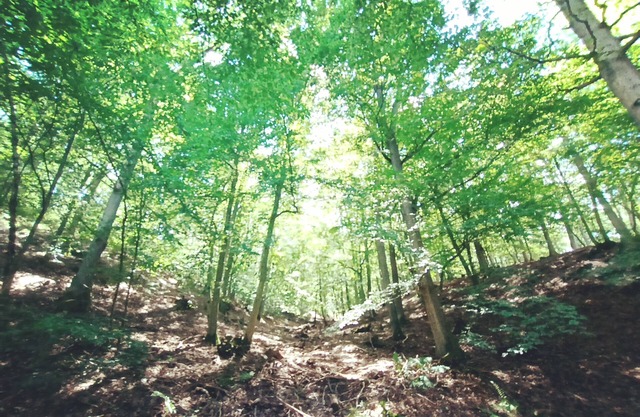 Tiny apartment in a quiet location near the North Eifel National Park
