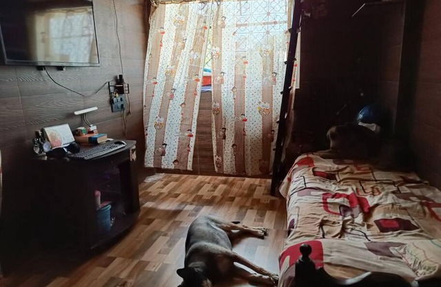 Tiny flat in hazzlefree society