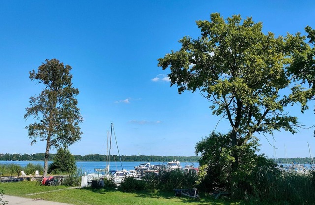 Tiny House 1 - Tiny House am See mit Kamin