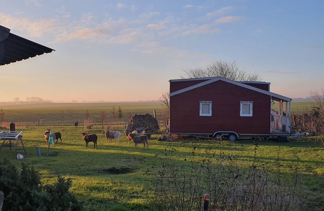 Tiny House "Dat kleene Huus"