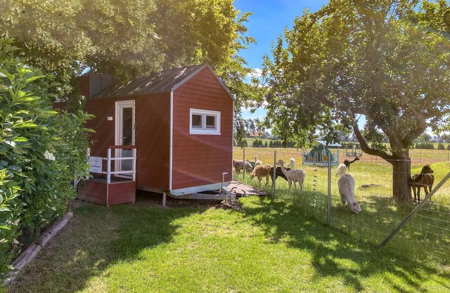 Tiny house on the alpaca farm - Tiny House