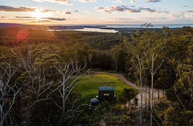 Tiny Sophie Summary: