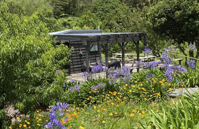 Tiny Studio - Near New