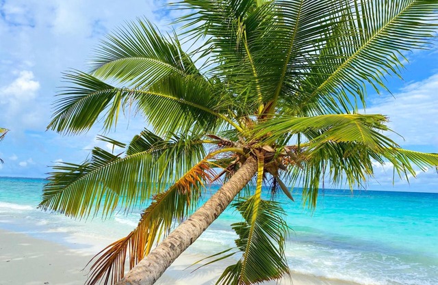 TME Retreats Dhigurah