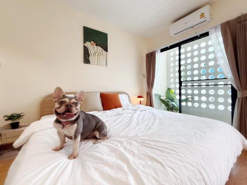 TownHouse near Central Ladprao with bathtub