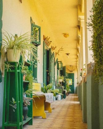 Tradicionalna Kuća Biljkinog oca