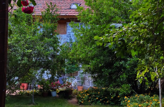 Traditional stone house