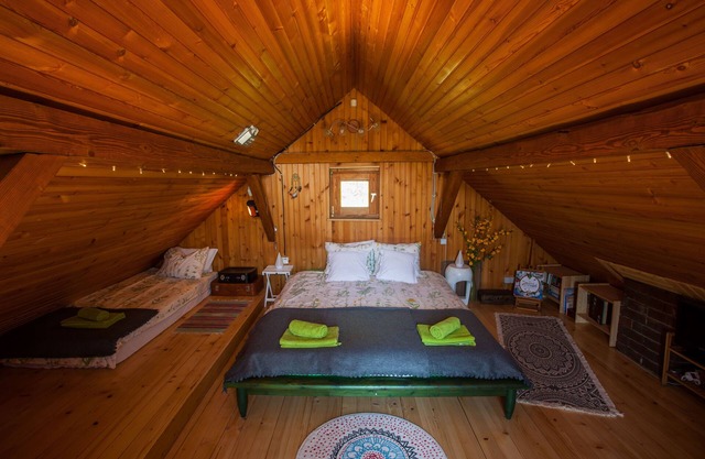 Traditional tiny cottage with a big yard surrounded by lush forests