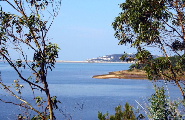 Traditional village house, private pool - close to the Obidos Lagoon & beaches