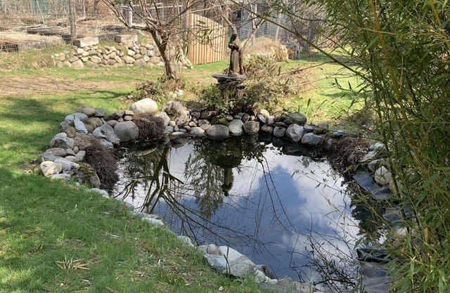 Tranquil Cowichan Riverfront Home