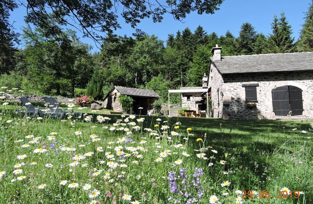 Tranquil Getaway: Cozy Home with Forest Views, Fireplace, and Family Amenities