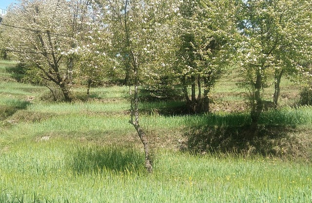 Tranquil Trails Naddi Sunset View
