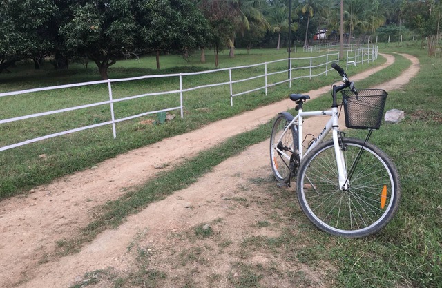 Tranquility and fresh air amidst greenery