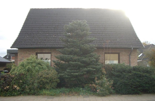 Traumhafte-Ferienwohnung-Kaethi