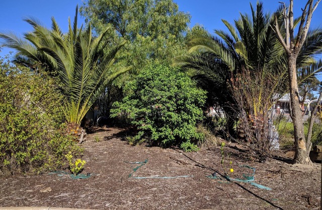 Travellers Inn Kaniva