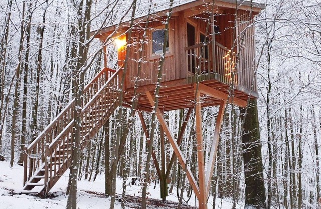 Tree house free space, living/sleeping room - Baumhaushotel Solling