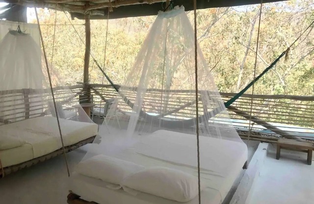 Tree house Pergola Swimming pool at a virgin beach