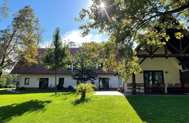 Tree house tree 4 - Tree house