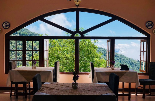 Tree of Life Grand Oak Manor, Binsar Wildlife Sanctuary