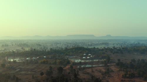 Tree of Life Ramvilas, Bandhavgarh