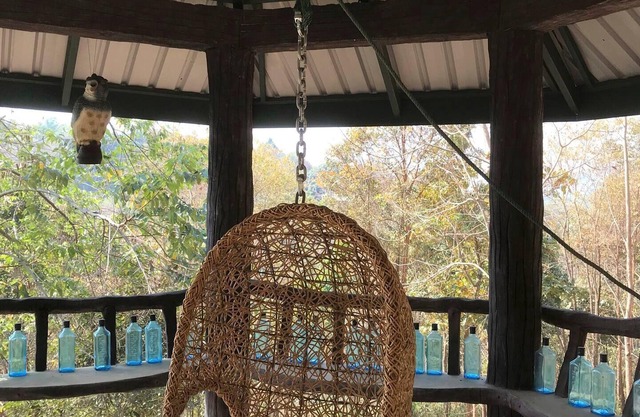 Treehouse and swimming pool