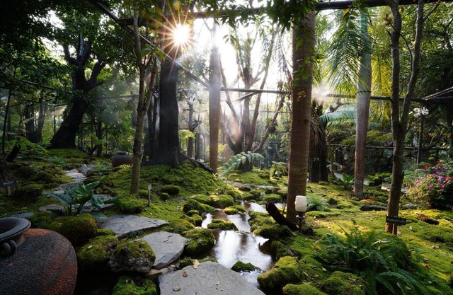 Treescape Resort Chiangmai