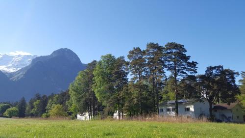 Treffpunkt Heuwiese