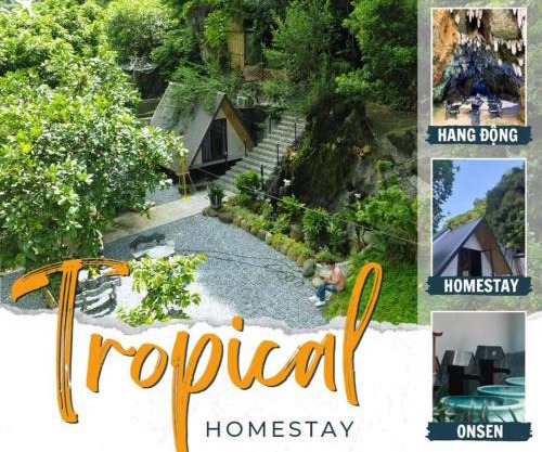 Tropical Forest Homestay