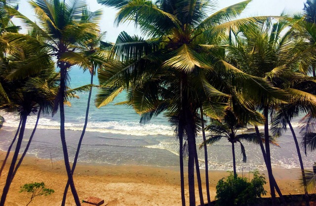 TROPICAL VIBES 5BHK Luxury Beach House