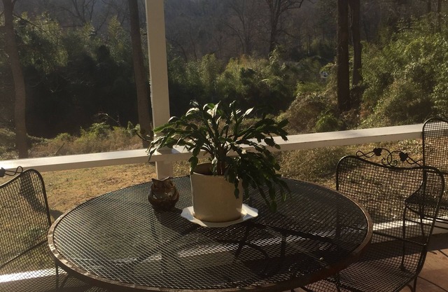 Tryon Love 2 min walk to downtown. Wood fireplace. Monthly rentals only.