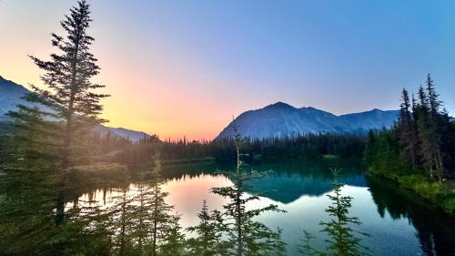 Twin Cabins-Trout and Grayling