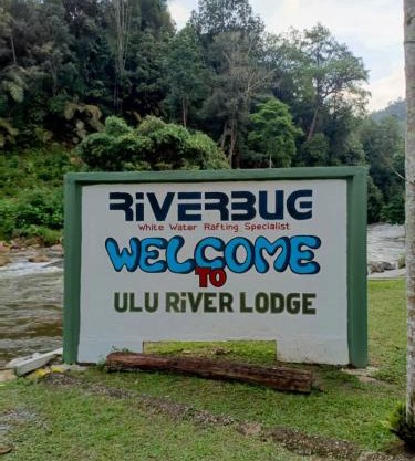 Ulu River Lodge, Riverbug Perak