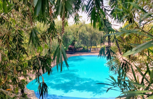 Umaid Palace- An Organic Retreat