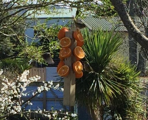 Union Street Hideaway