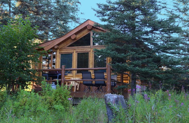 Unique Alaskan log home in trees & wild flowers on 14-acre private homestead.